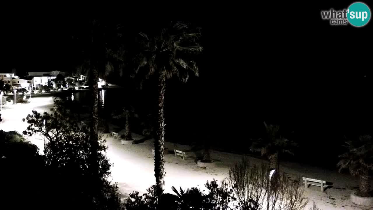 Live cam Vir – Plage