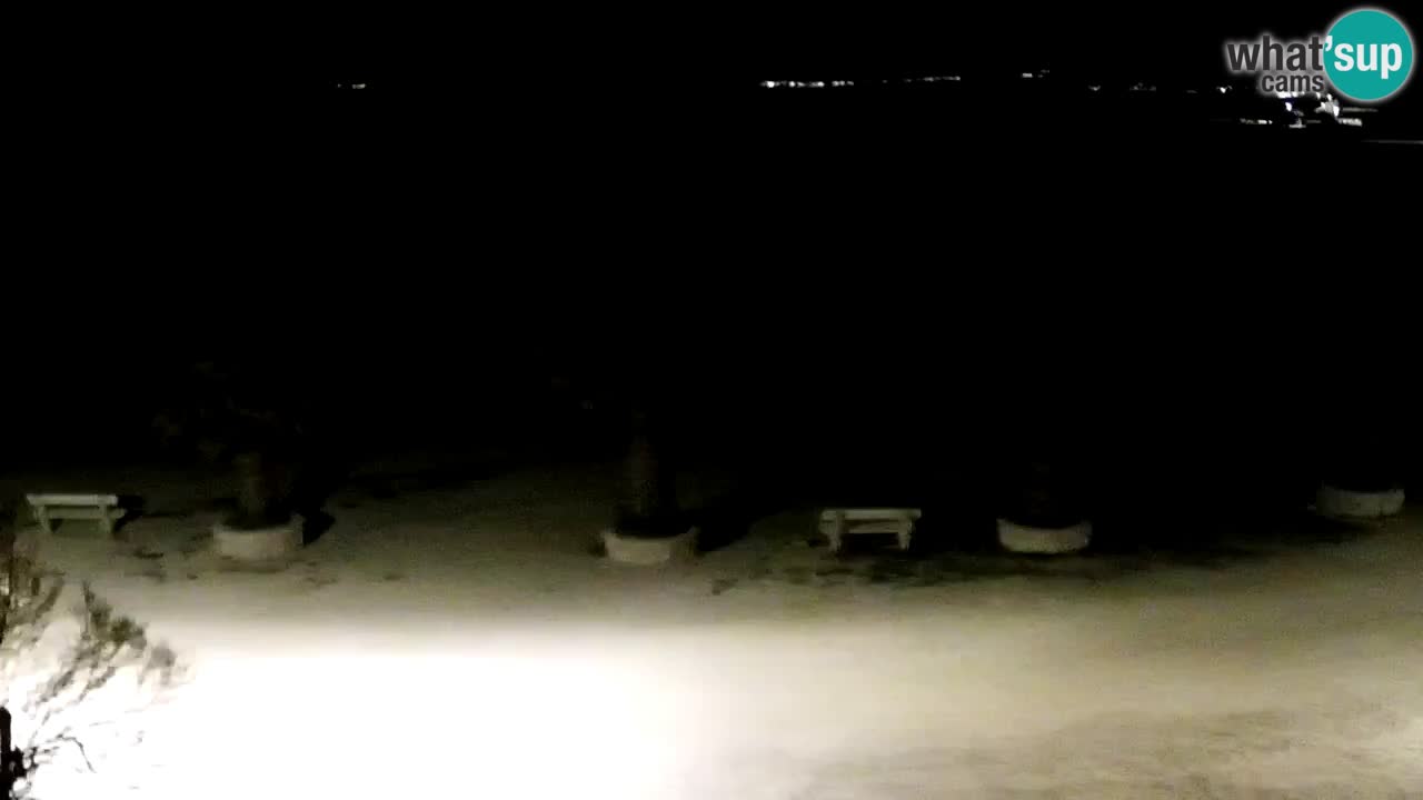 Live cam Vir – Plage