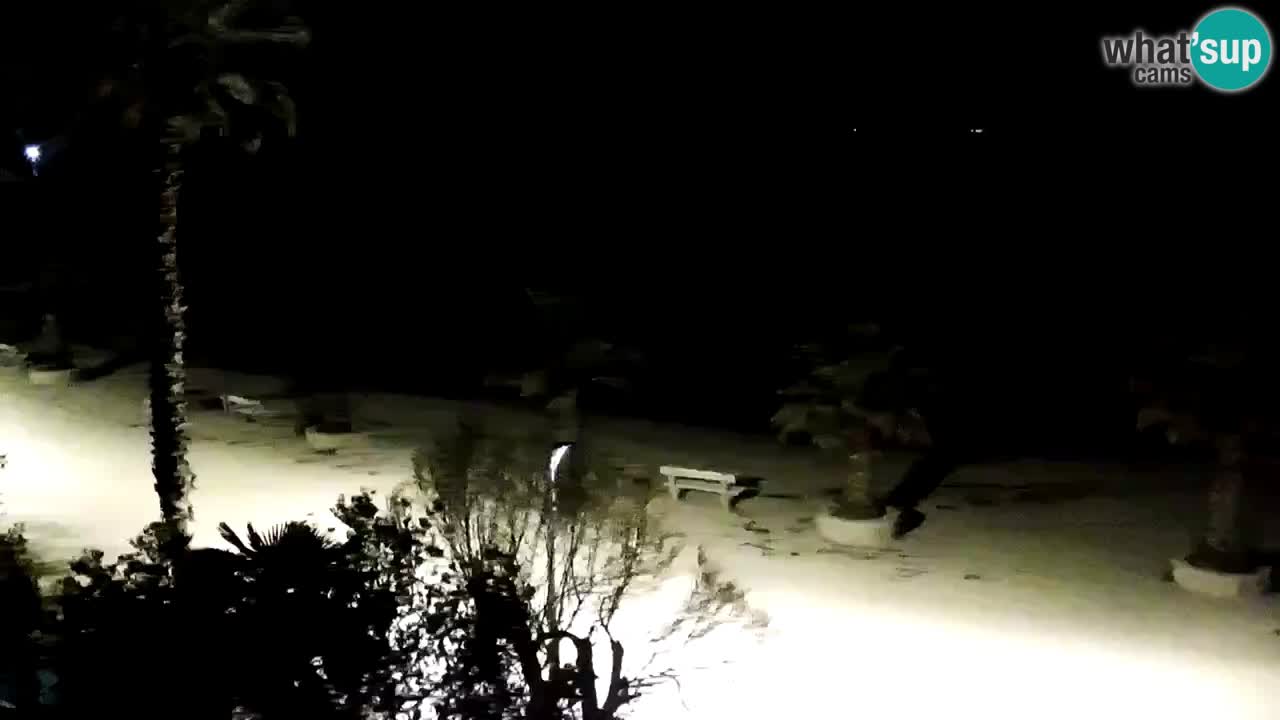 Web kamera Vir – Plaža