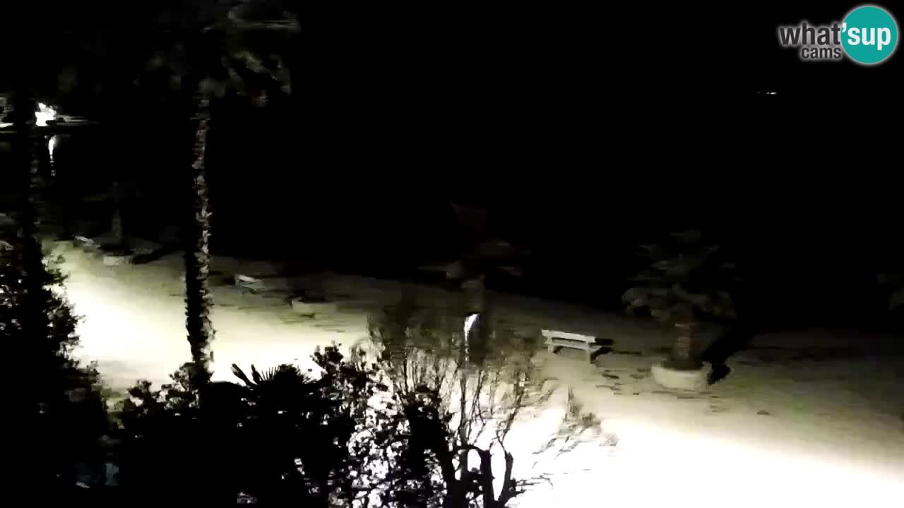 Live cam Vir – Plage