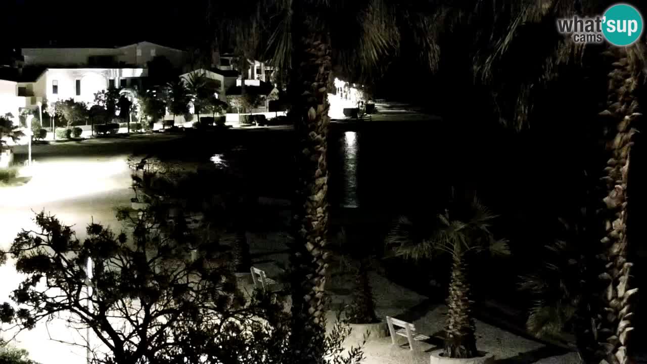 Webcam Vir – Spiaggia