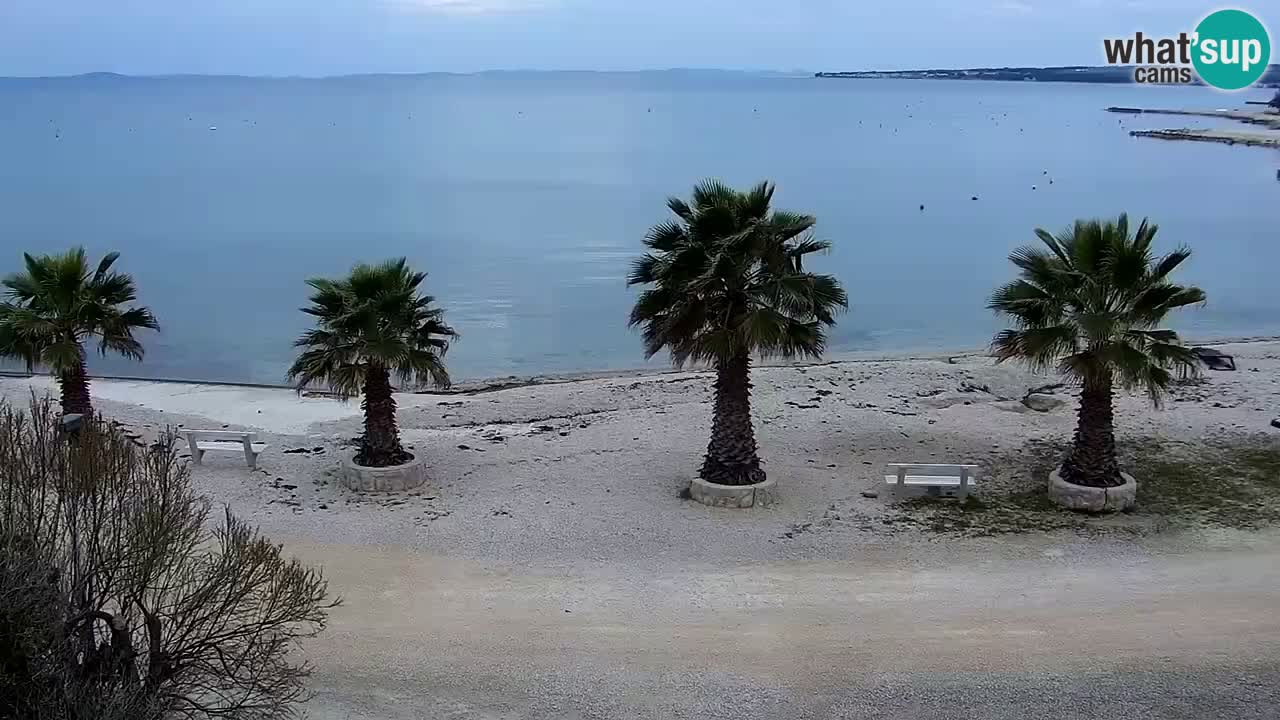 Live cam Vir – Plage