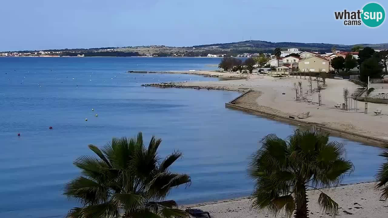 Live cam Vir – Plage