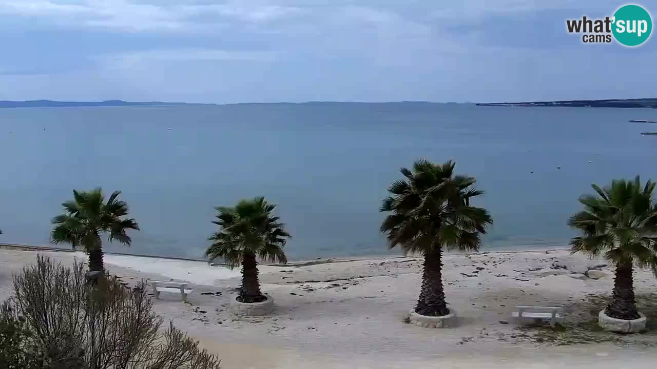 Webcam Vir – Spiaggia