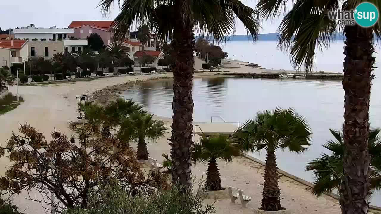 Live cam Vir – Plage