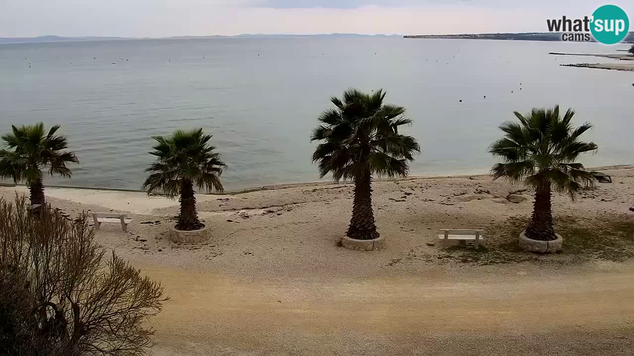 Webcam Vir – Spiaggia