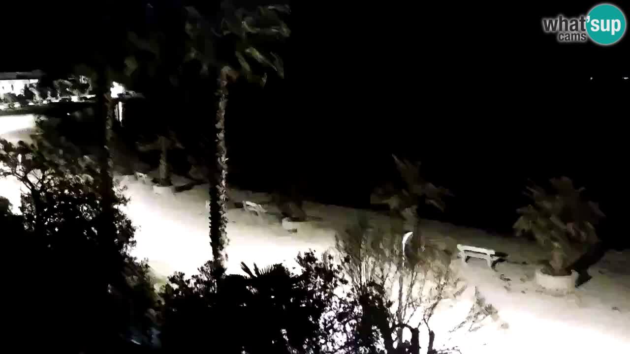 Kamera v živo Vir – Plaža