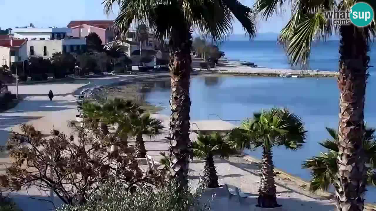 Web kamera Vir – Plaža