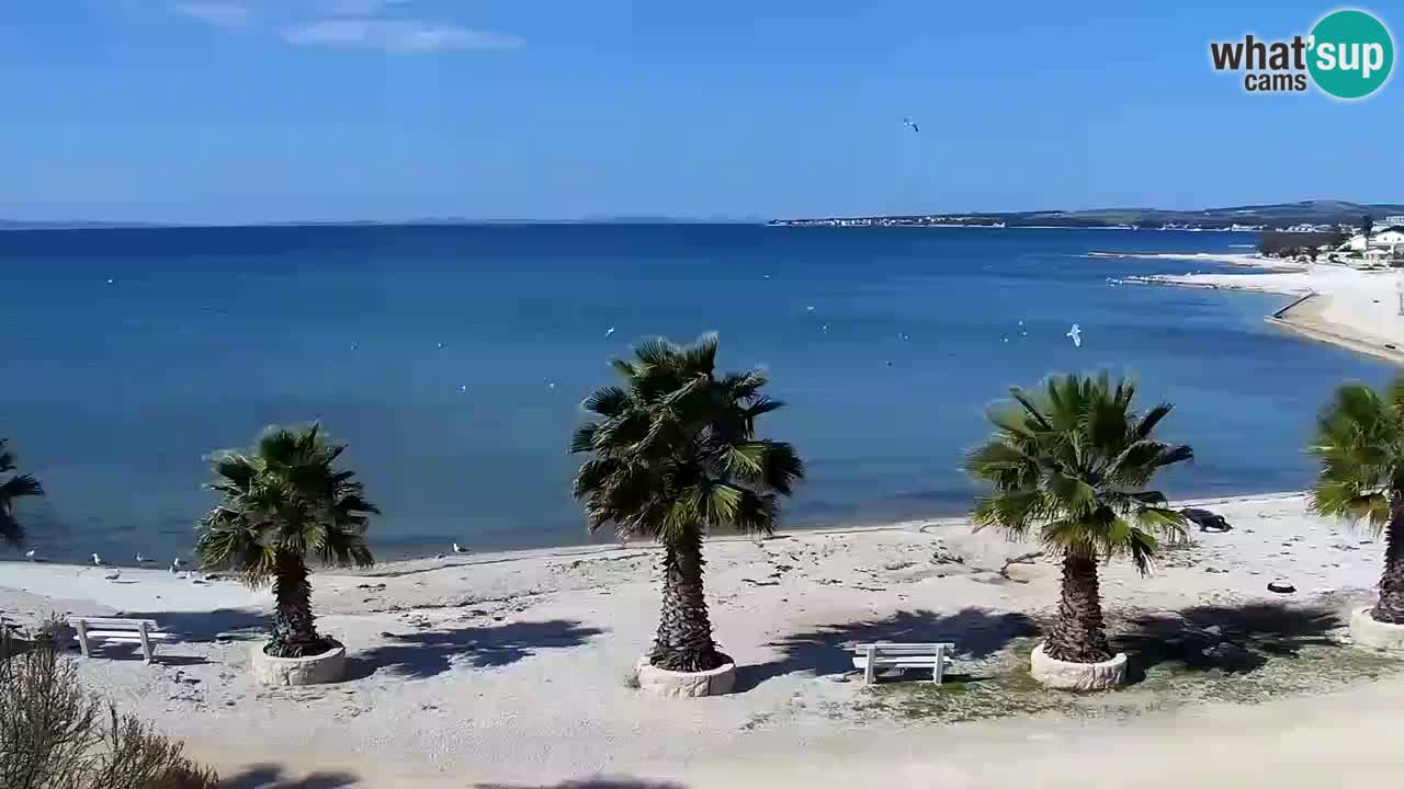 Web kamera Vir – Plaža