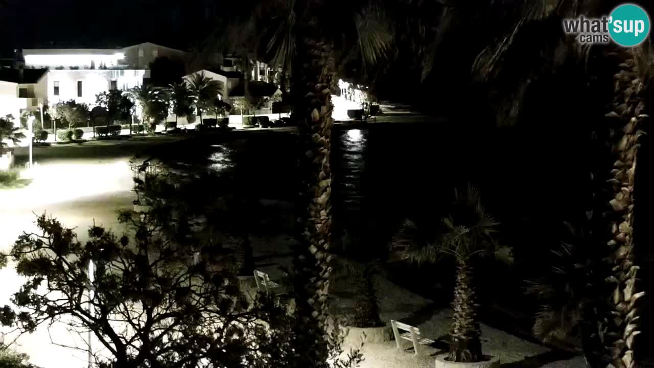 Webcam Vir – Strand