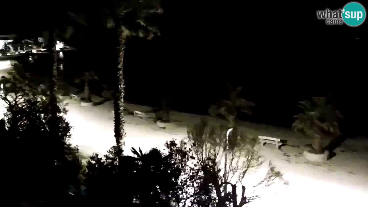 Live cam Vir – Plage