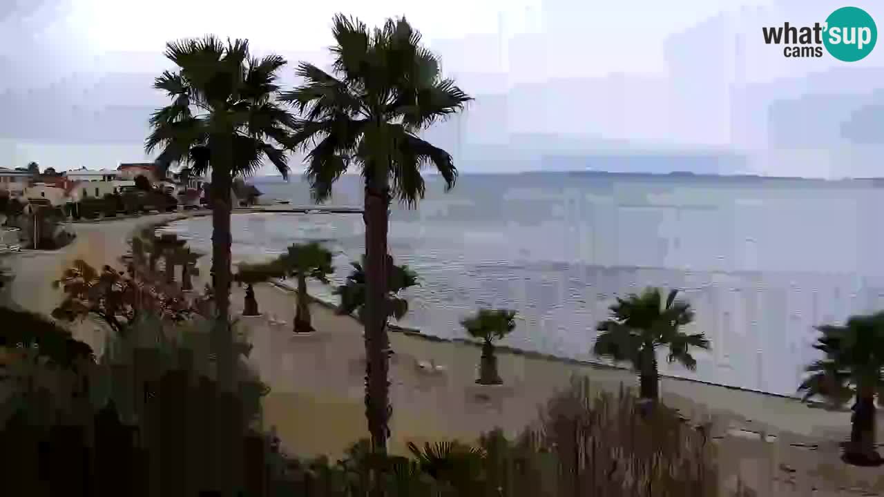 Webcam Vir – Strand