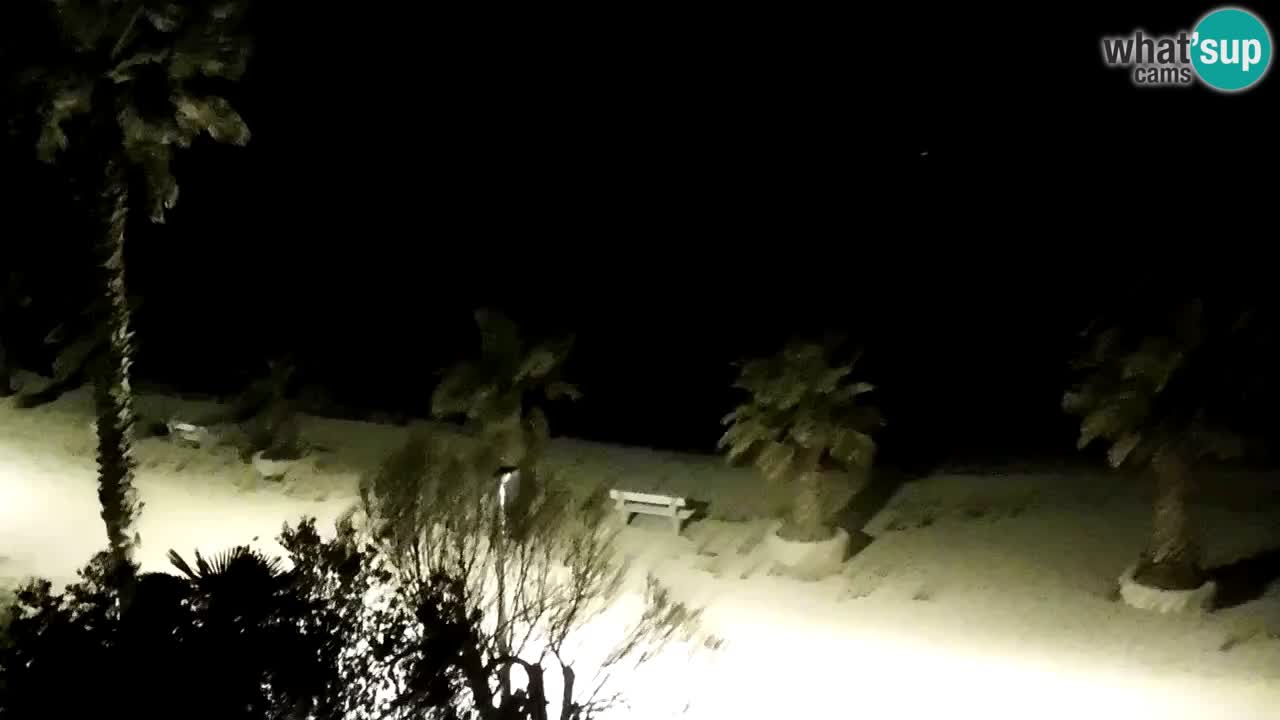 Kamera v živo Vir – Plaža