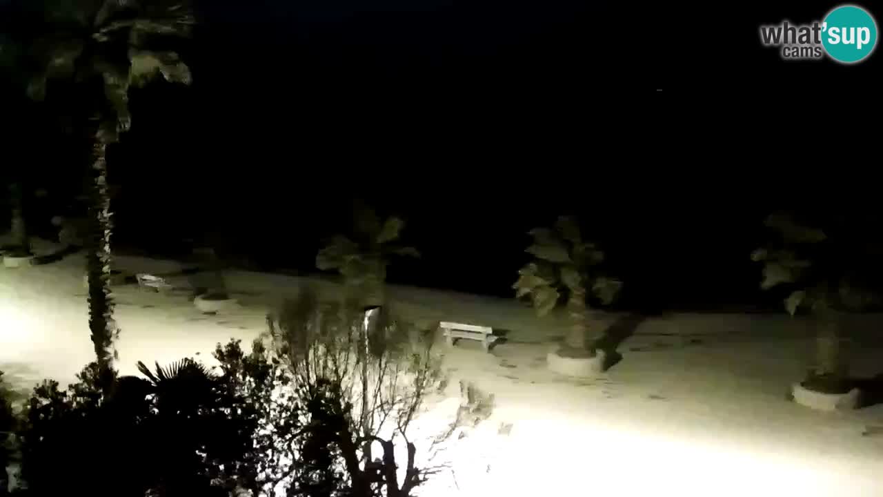 Webcam Vir – Spiaggia