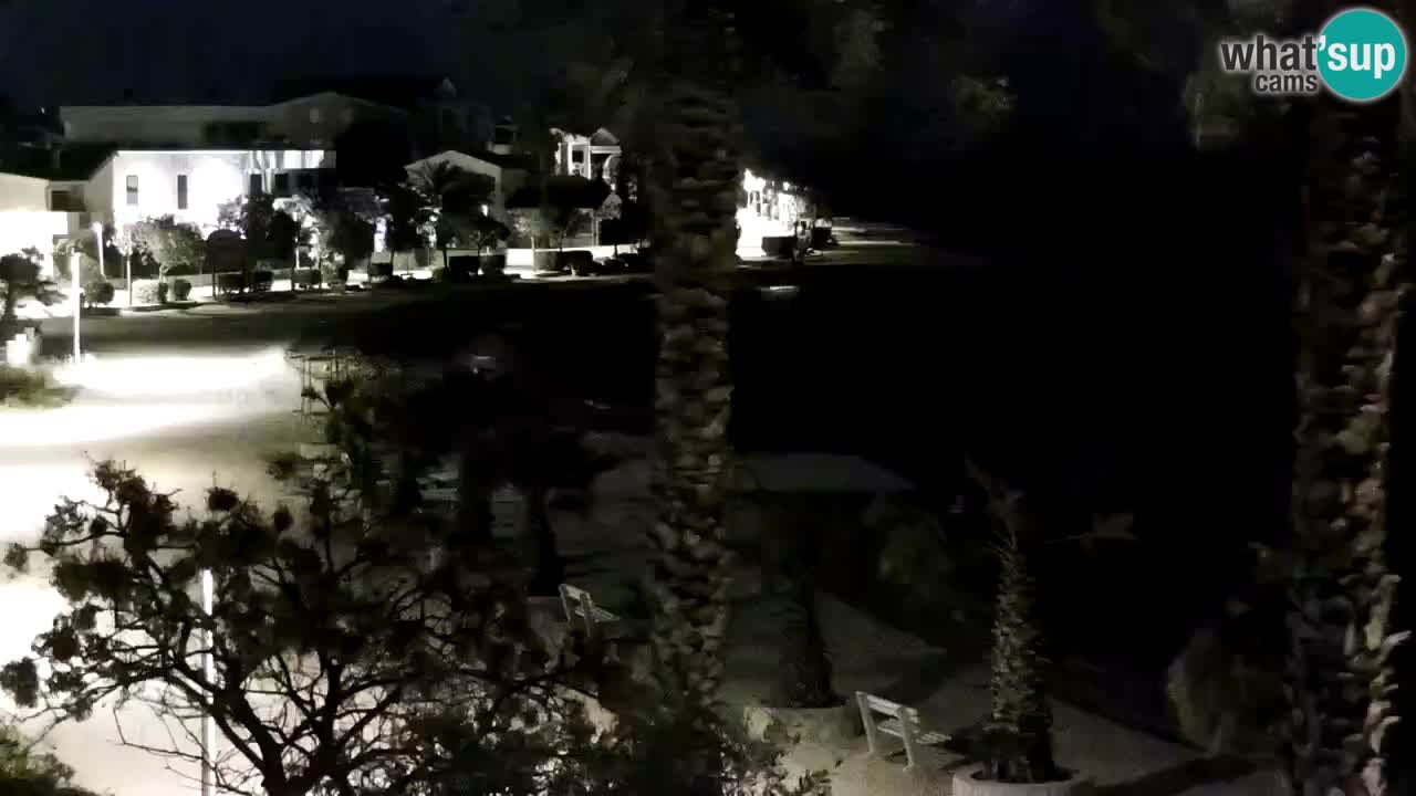 Live cam Vir – Plage