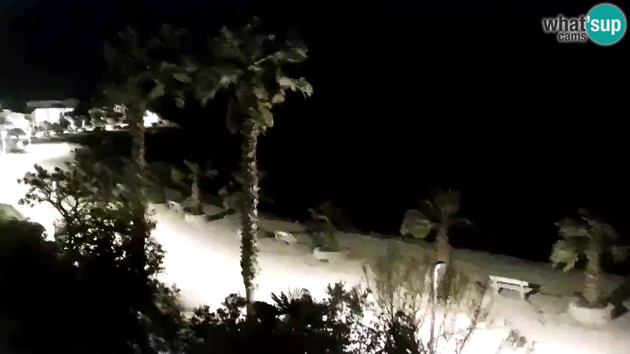 Webcam Vir – Strand