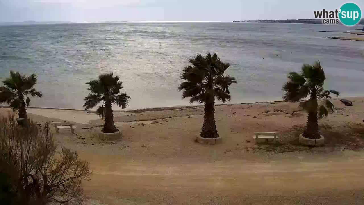 Kamera v živo Vir – Plaža