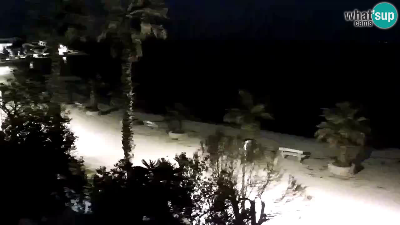 Kamera v živo Vir – Plaža