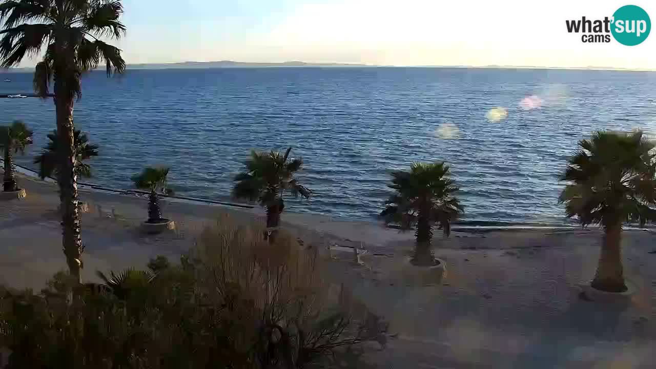 Live cam Vir – Plage