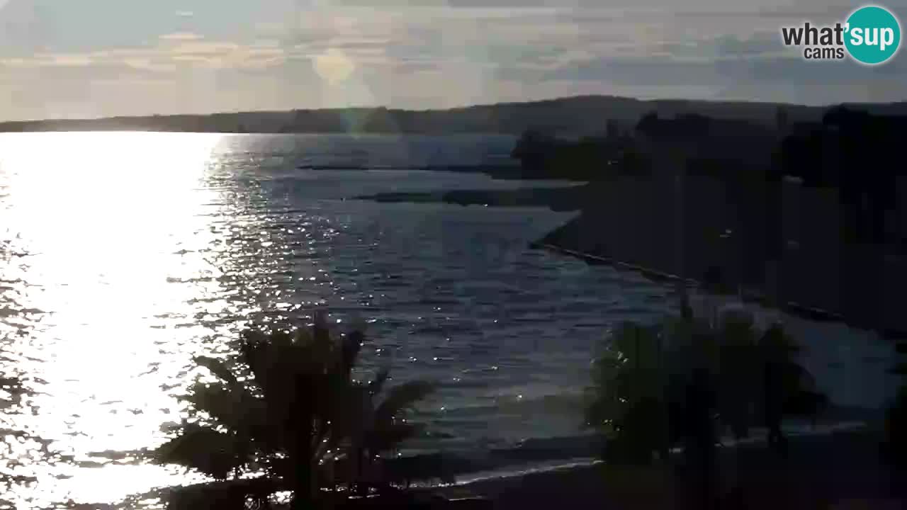 Live cam Vir – Plage