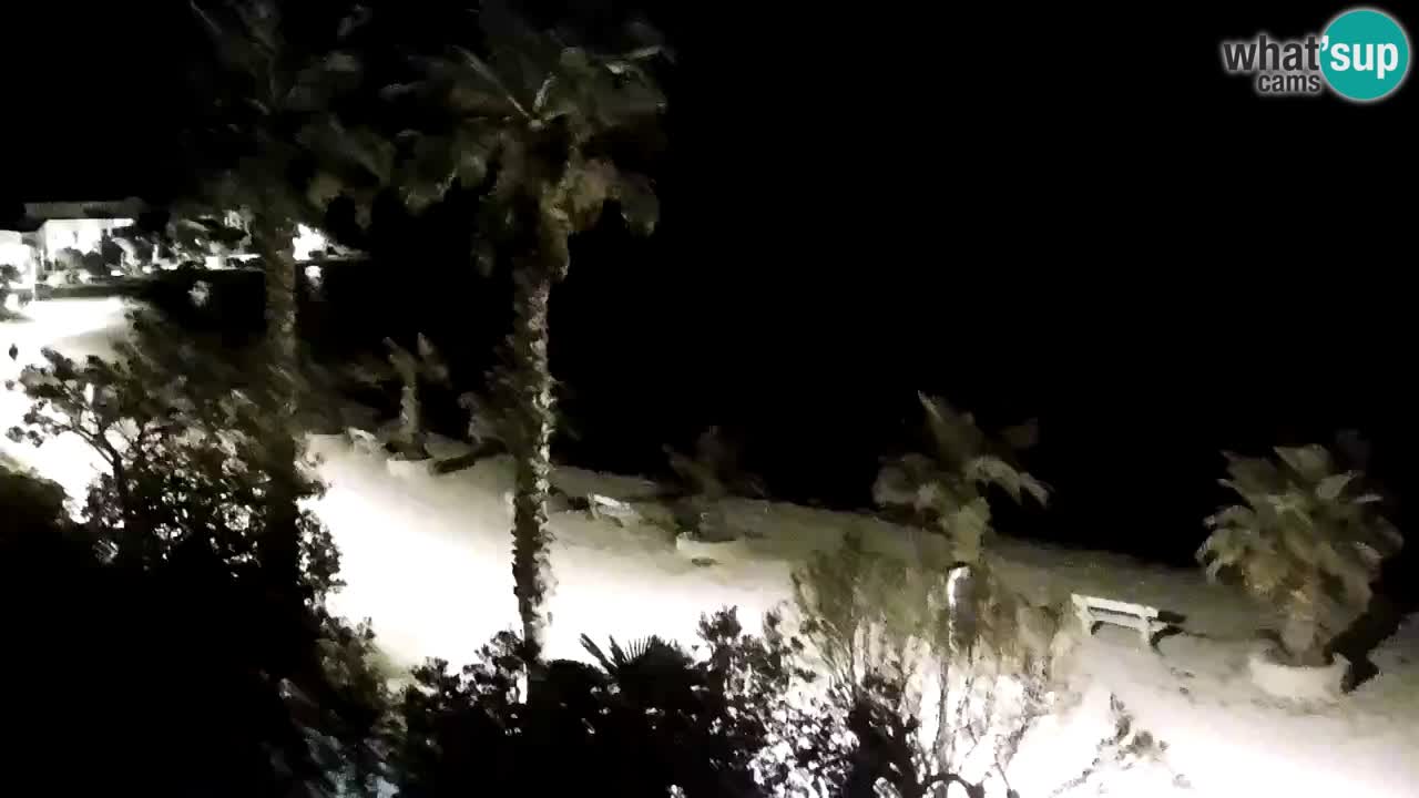 Live cam Vir – Plage