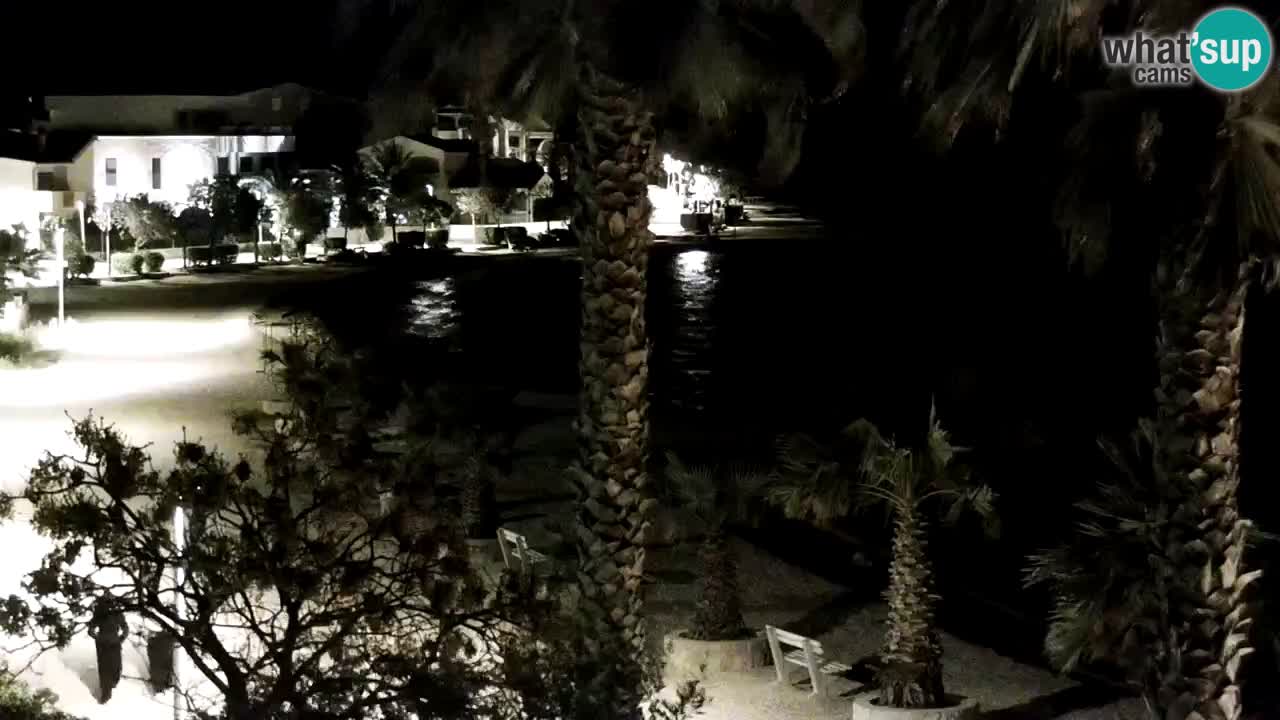 Kamera v živo Vir – Plaža