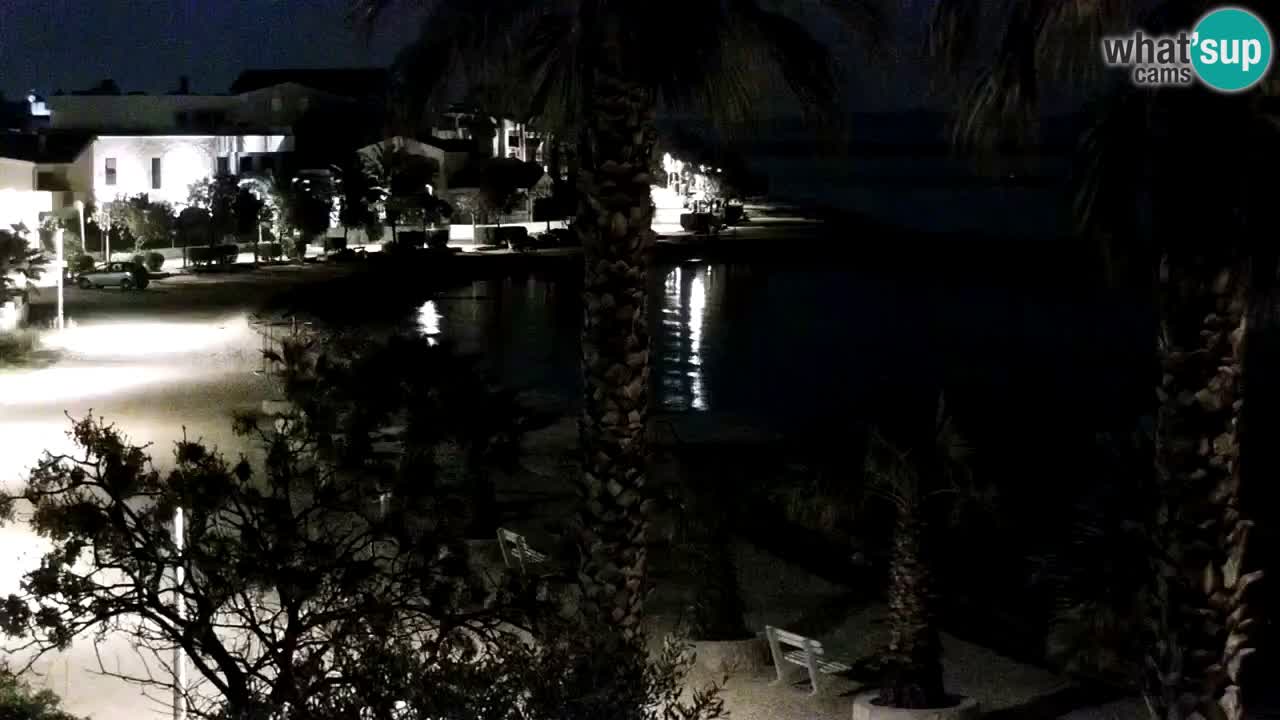 Live cam Vir – Plage