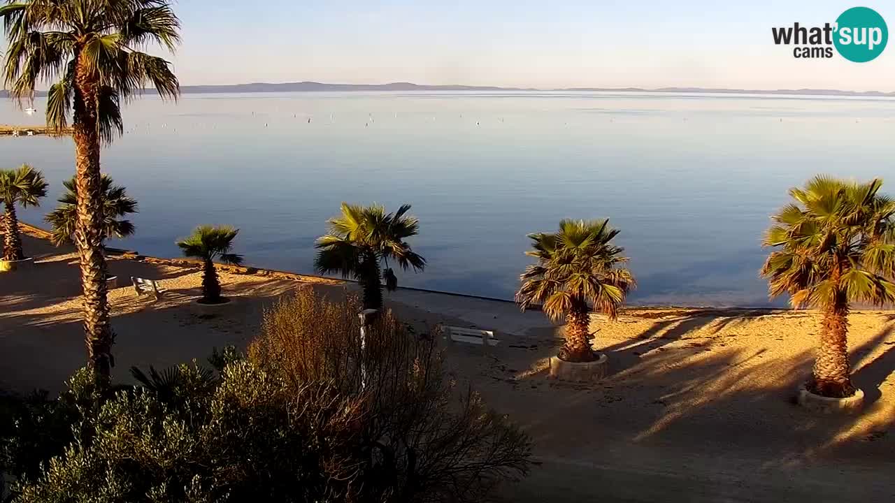 Live cam Vir – Plage