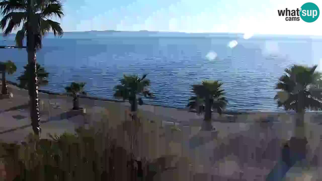 Live cam Vir – Plage