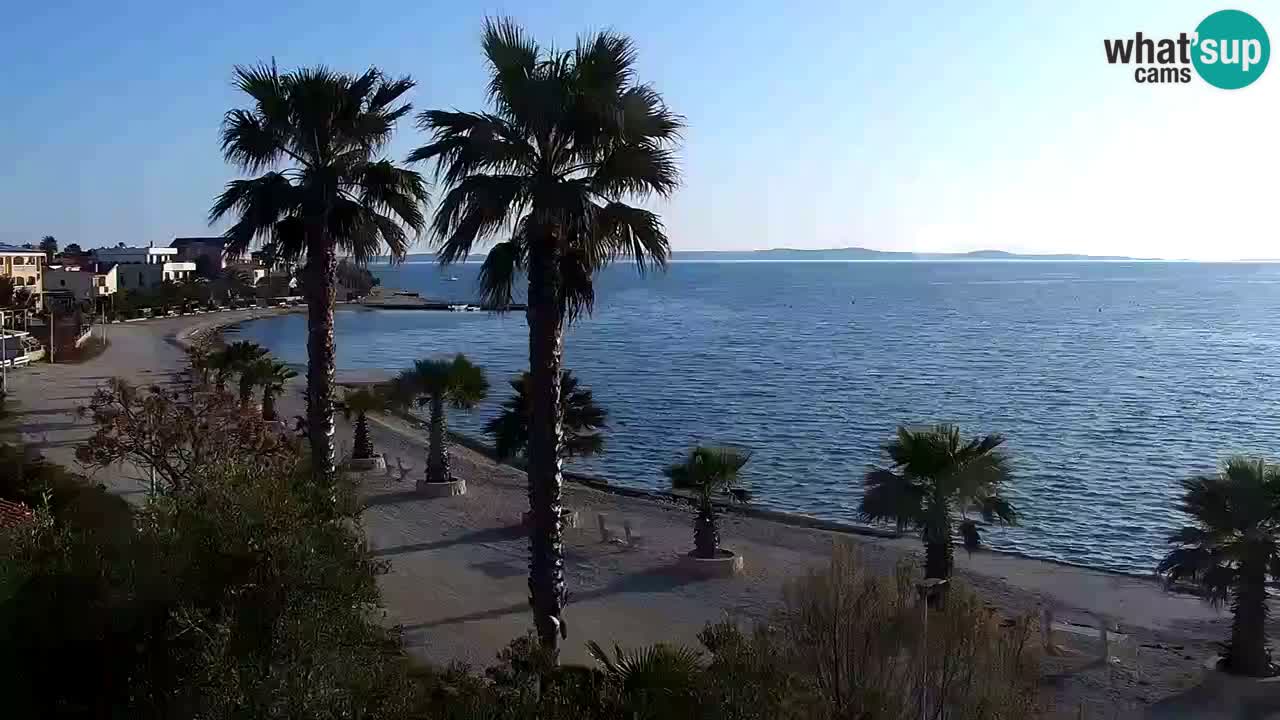 Kamera v živo Vir – Plaža