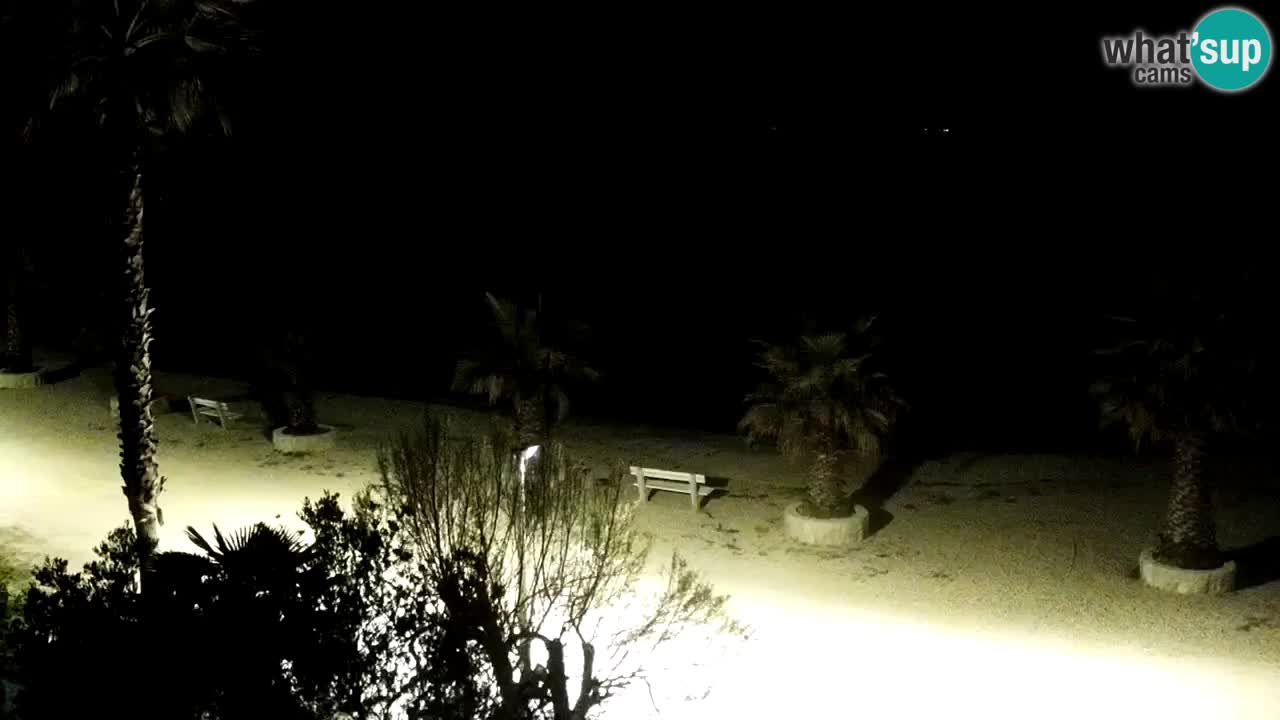 Webcam Vir – Strand