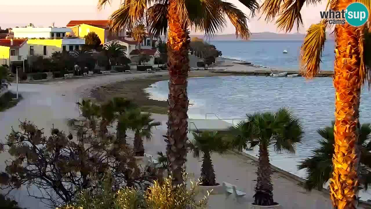 Webcam Vir – Spiaggia