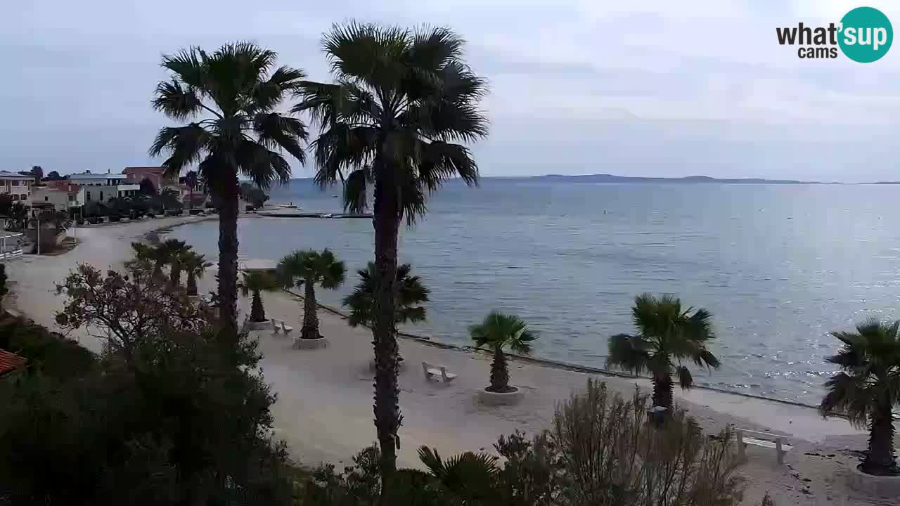 Webcam Vir – Strand