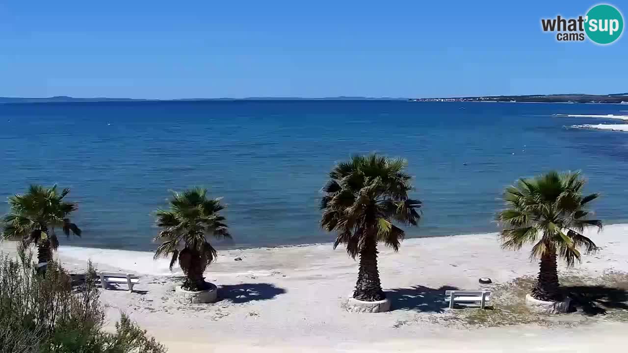Live cam Vir – Plage