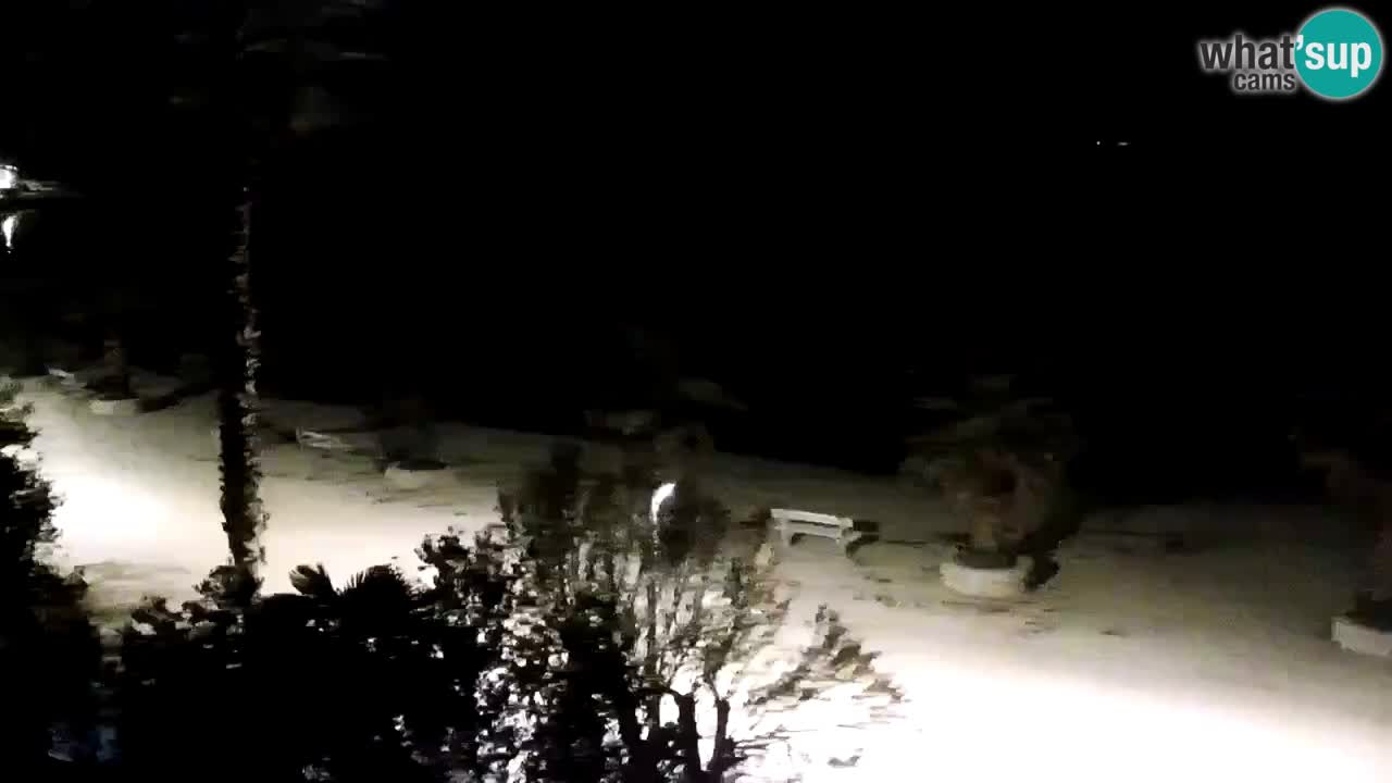 Live cam Vir – Plage