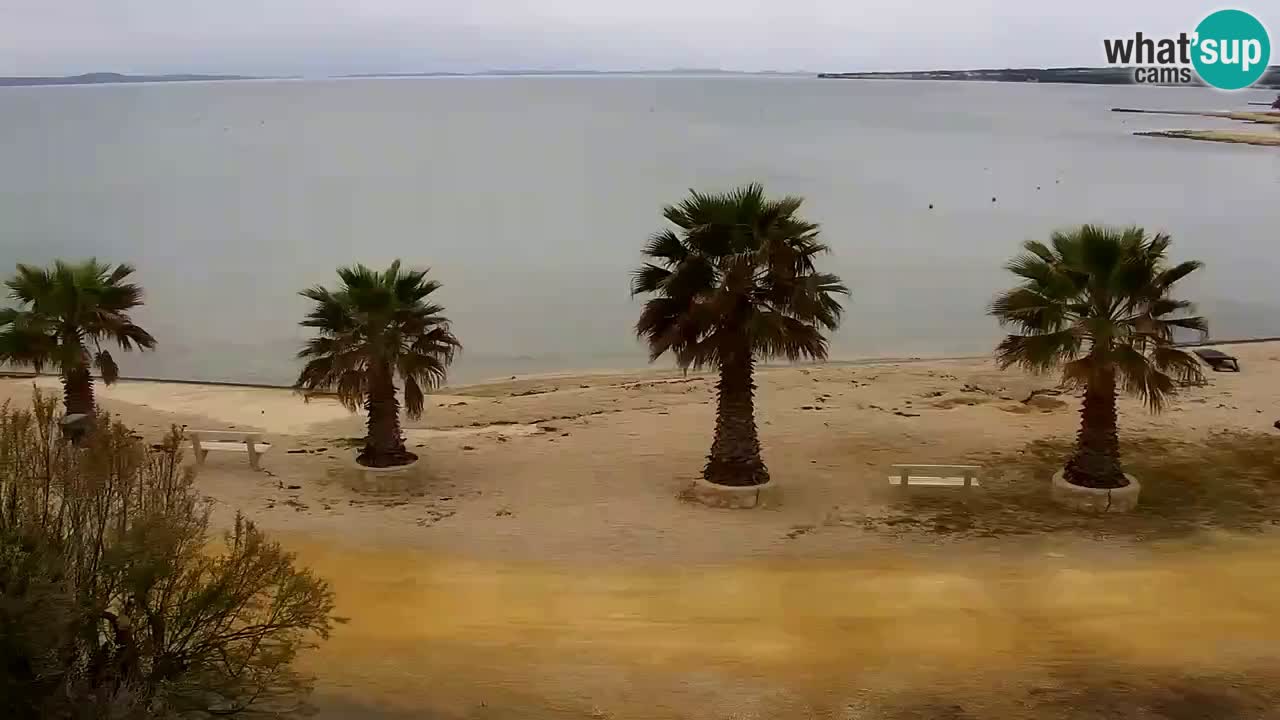 Webcam Vir – Spiaggia