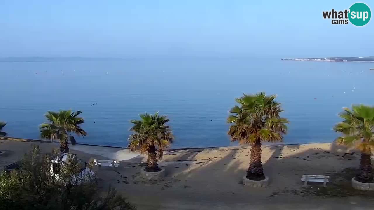 Live cam Vir – Plage