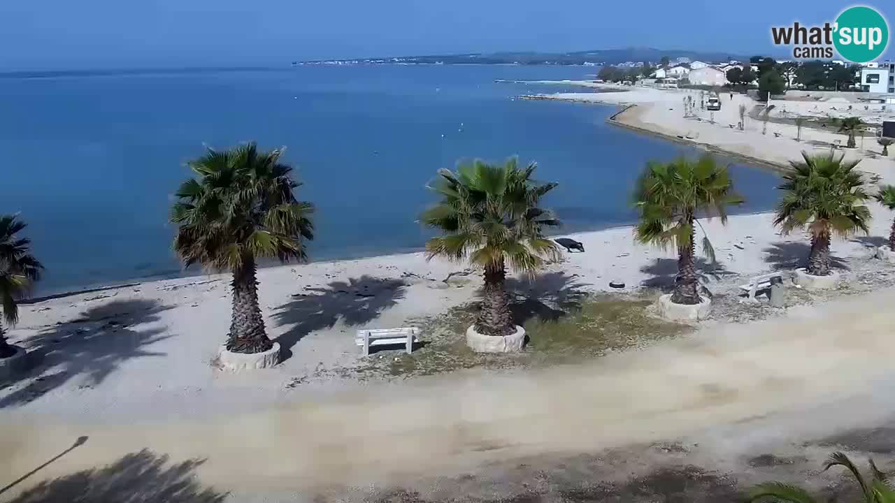 Live cam Vir – Plage