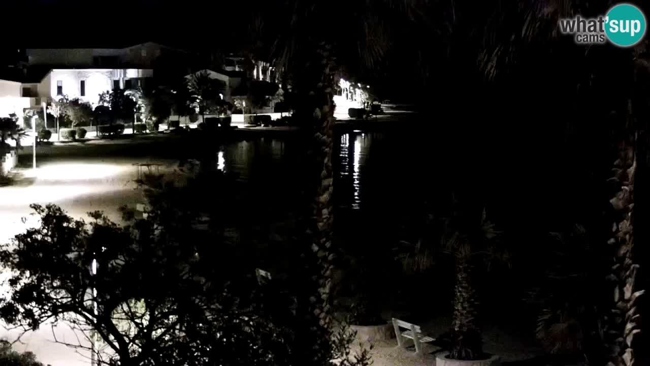 Webcam Vir – Strand