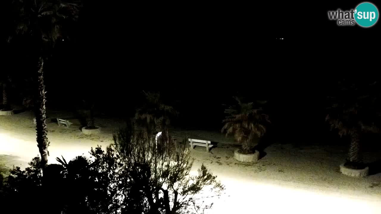 Webcam Vir – Strand