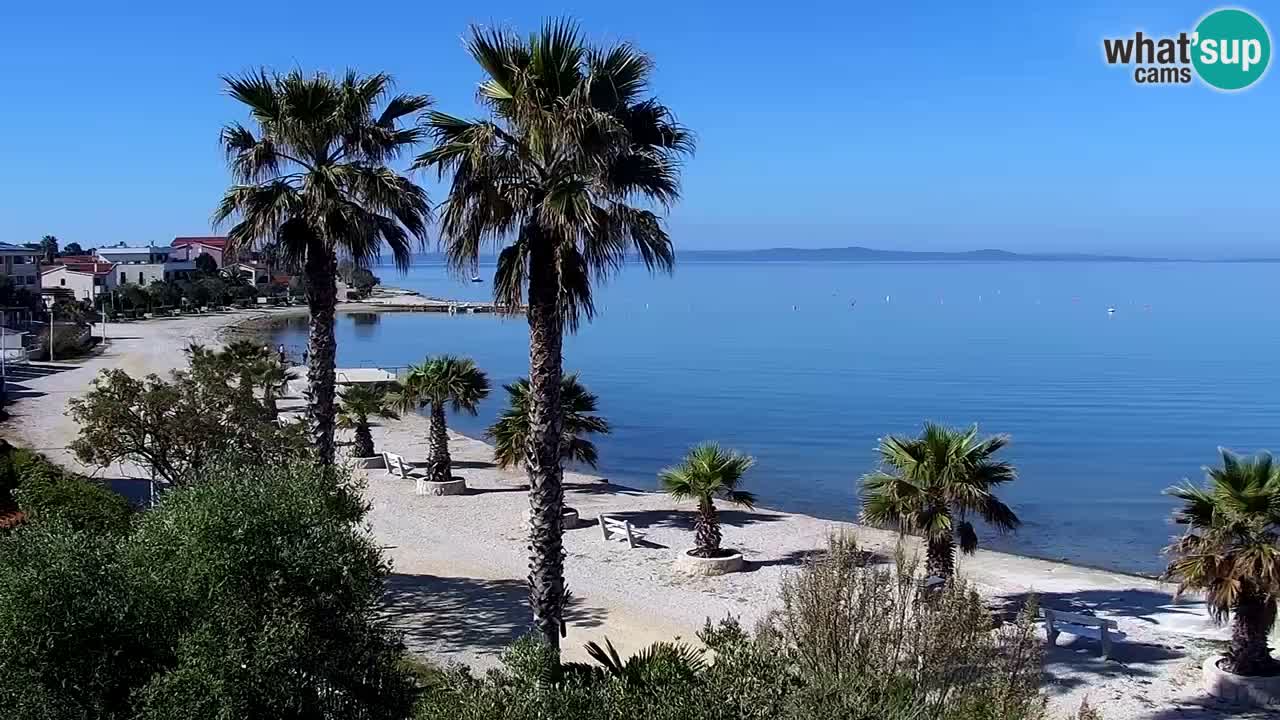 Webcam Vir – Strand