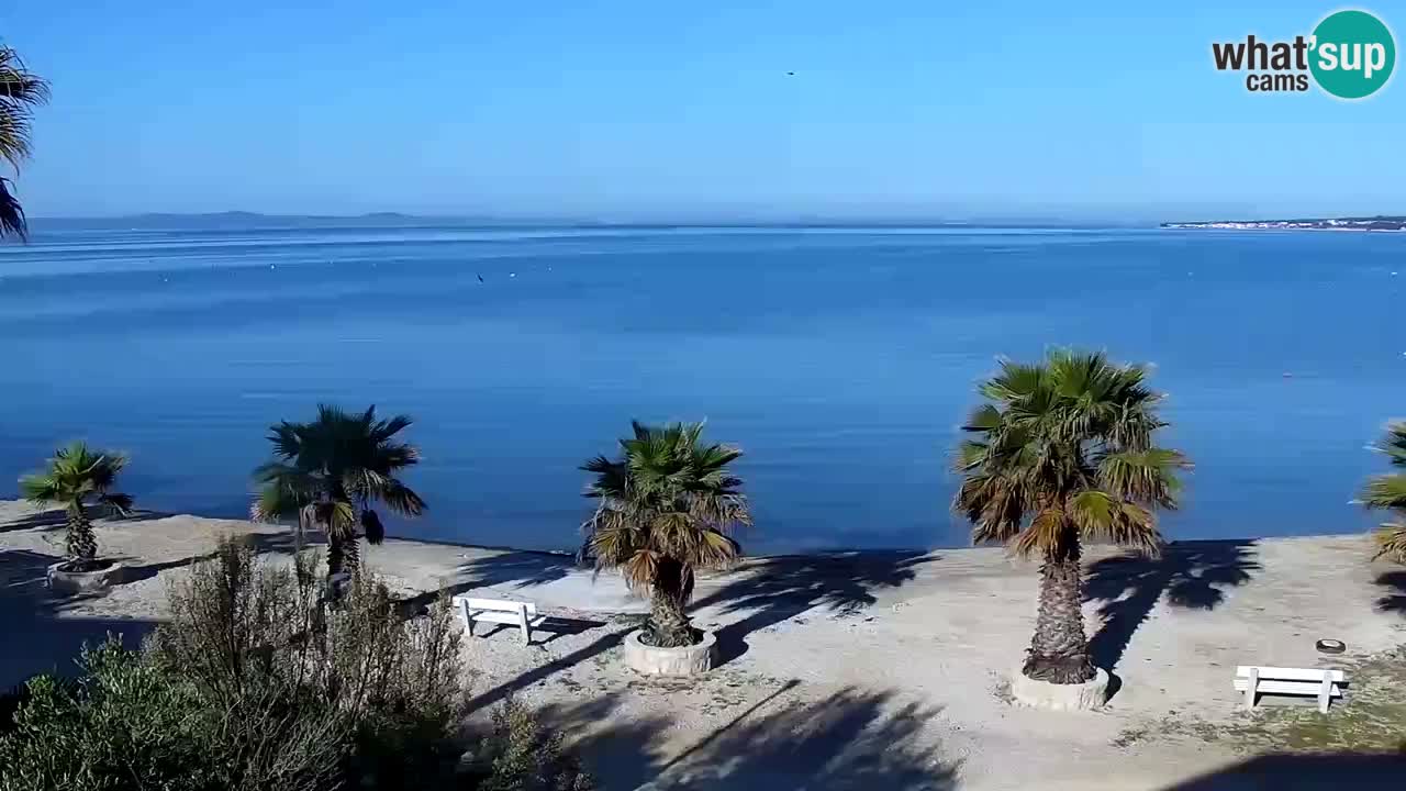 Kamera v živo Vir – Plaža