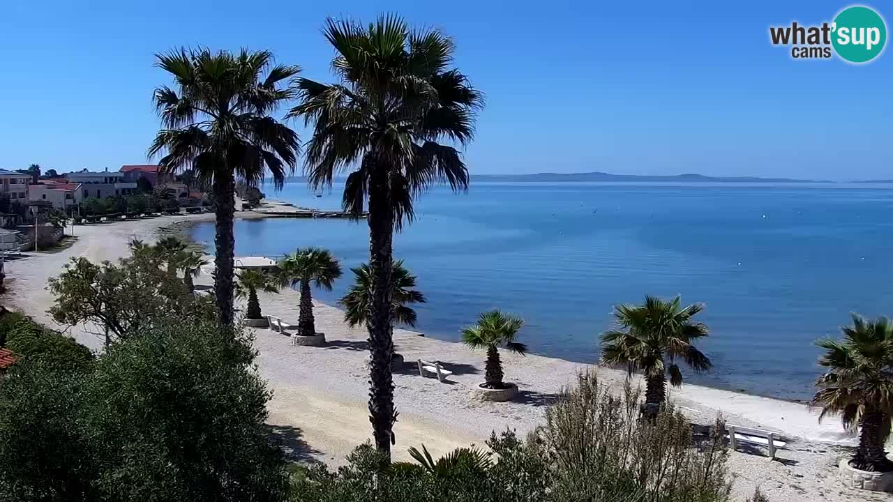 Live cam Vir – Plage