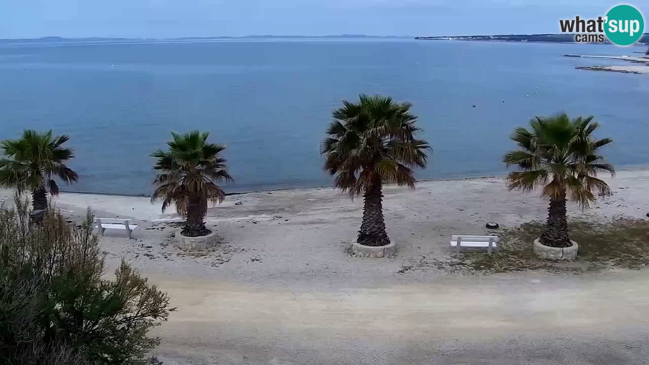 Live cam Vir – Plage