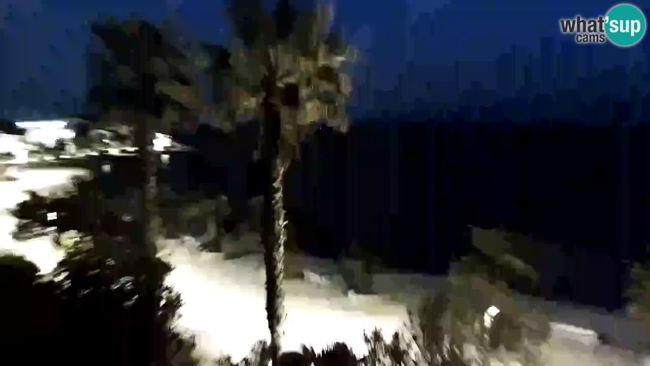 Webcam Vir – Strand