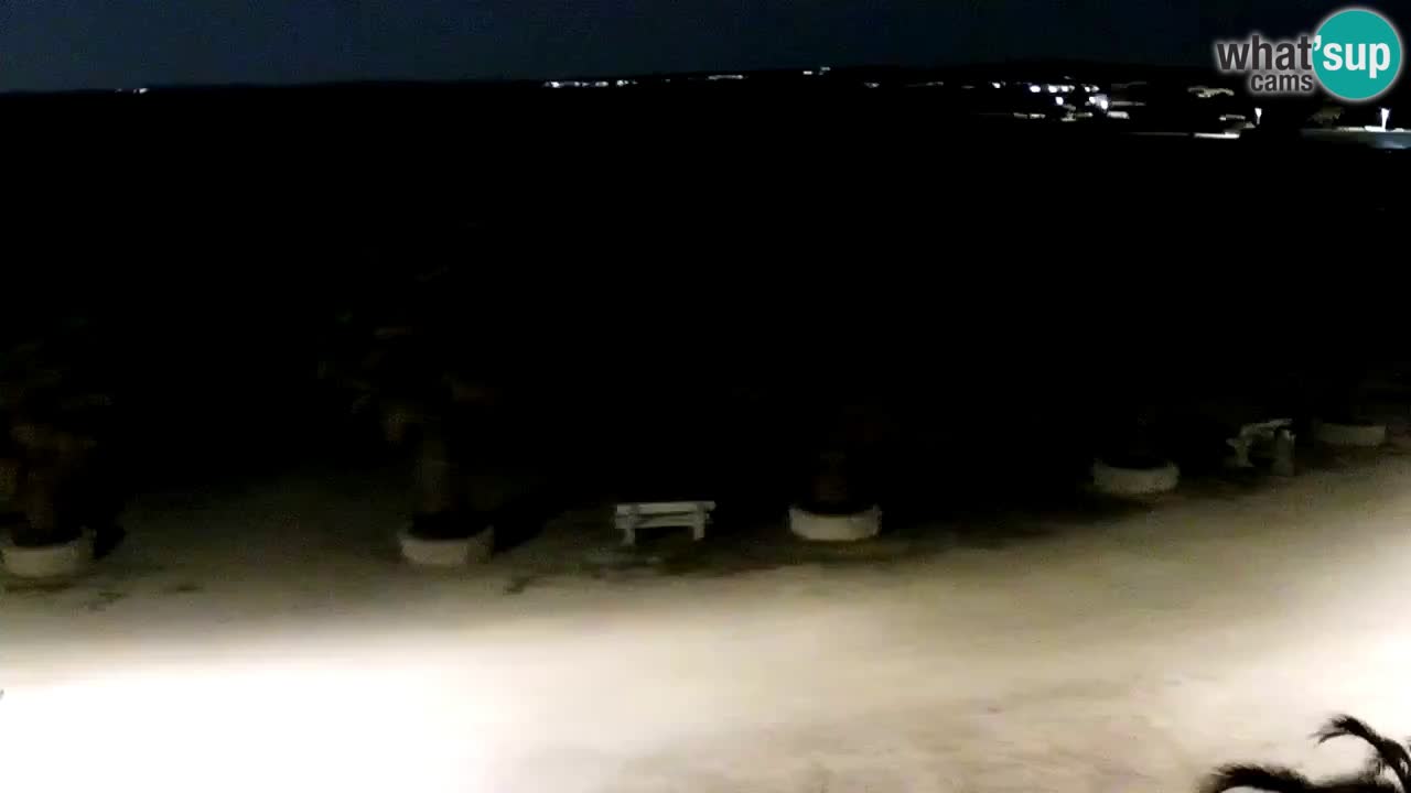 Live cam Vir – Plage