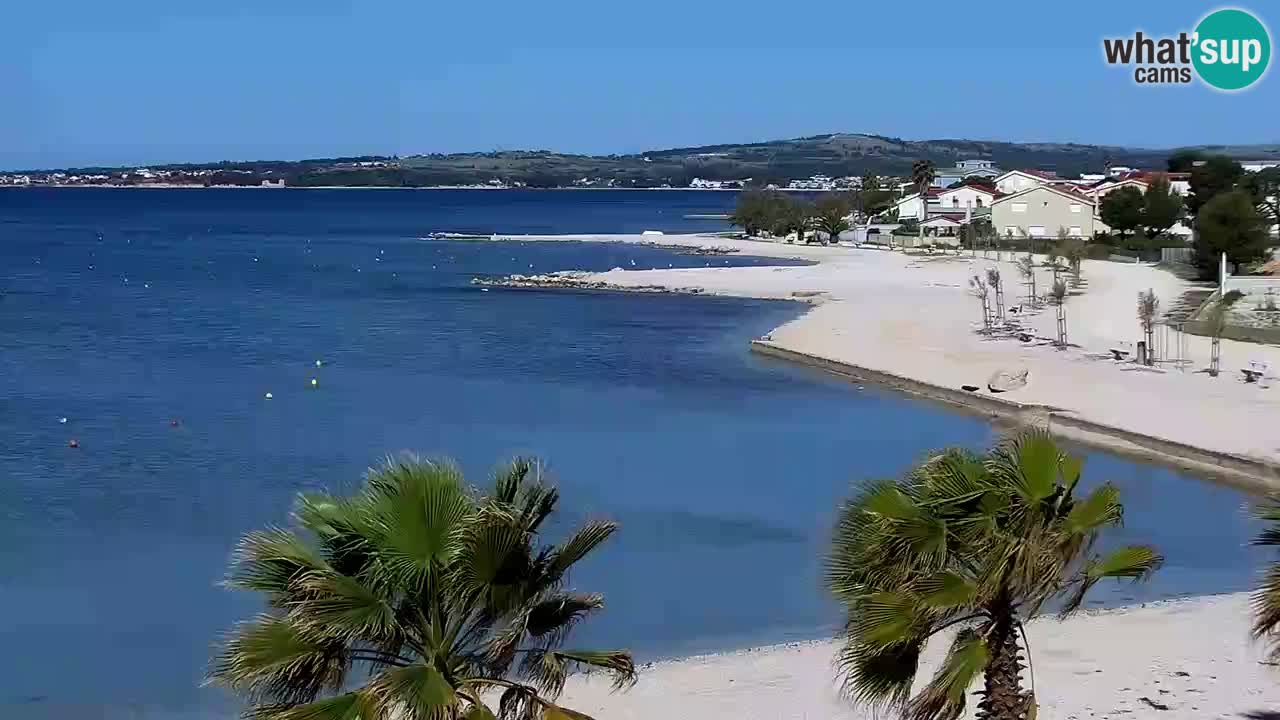 Live cam Vir – Plage