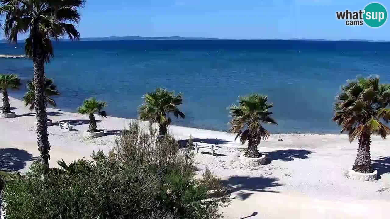 Webcam Vir – Strand