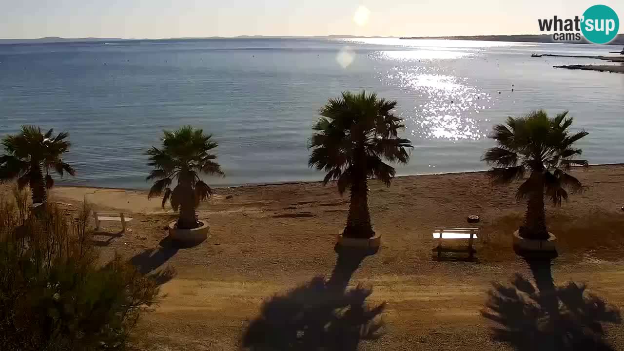 Webcam Vir – Spiaggia