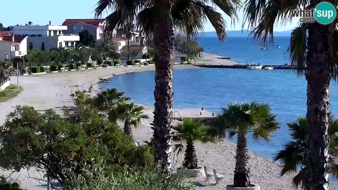 Live cam Vir – Plage